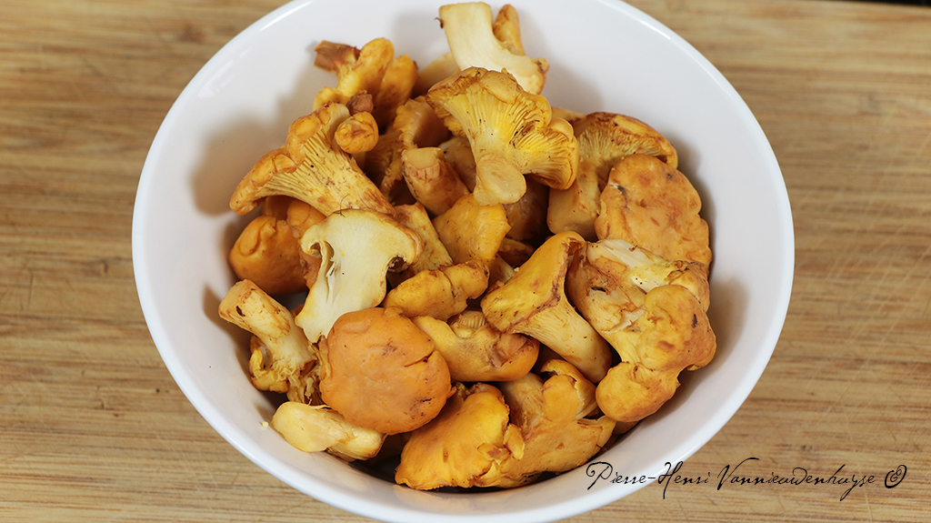 Recette de la sauce aux girolles au pineau des Charentes La cuisine
