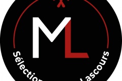 Logo maison lascours