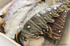 Demi langoustes à griller