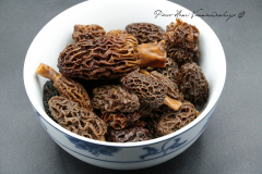 Morilles