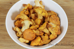 Girolles