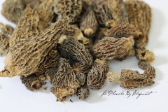 Morilles séchées